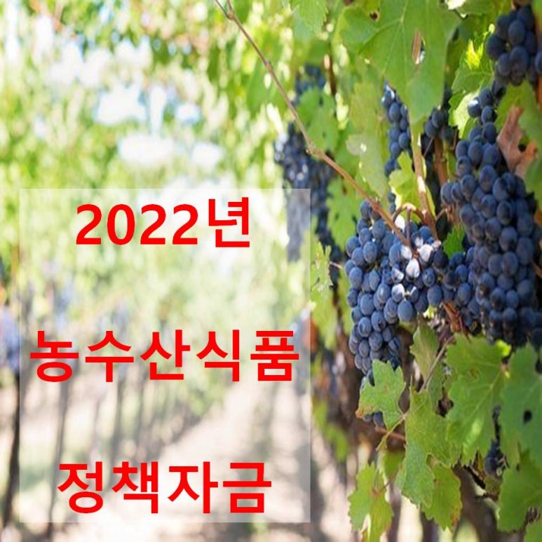 오늘 농수산 이미지