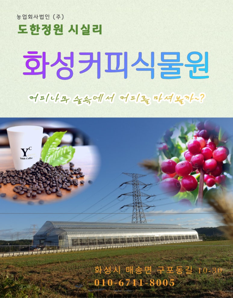 요크커피 이미지
