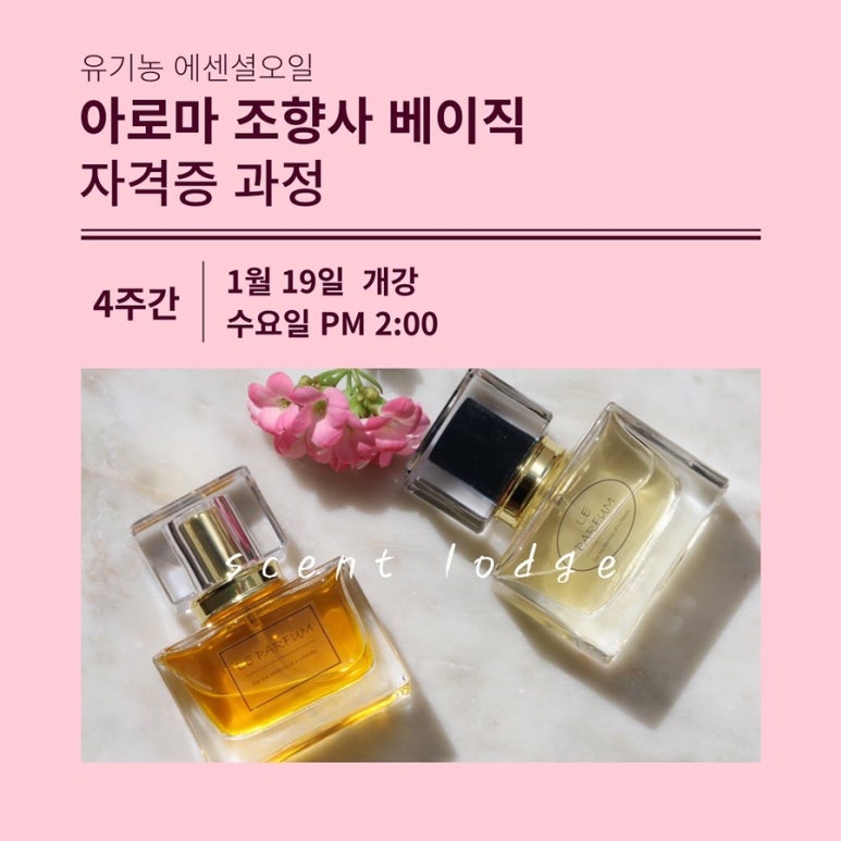 센트롯지 이미지