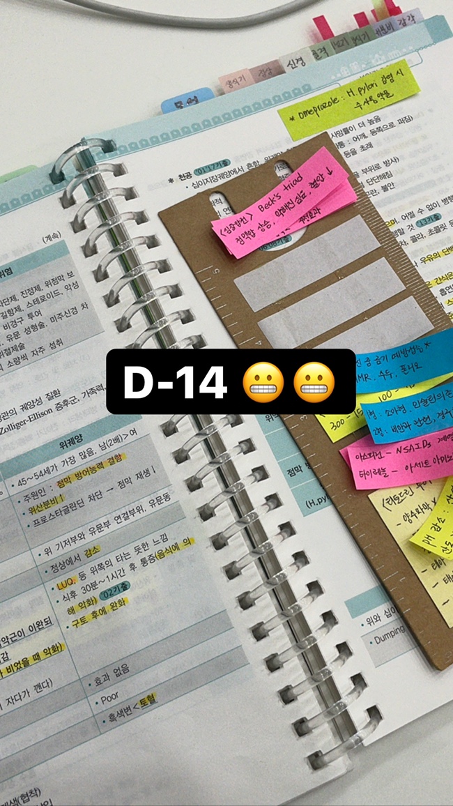 국시세상 이미지