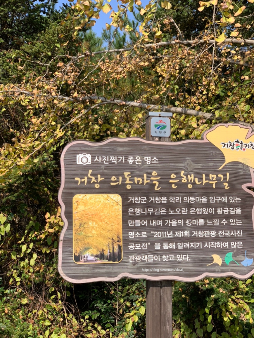 정한분식 이미지