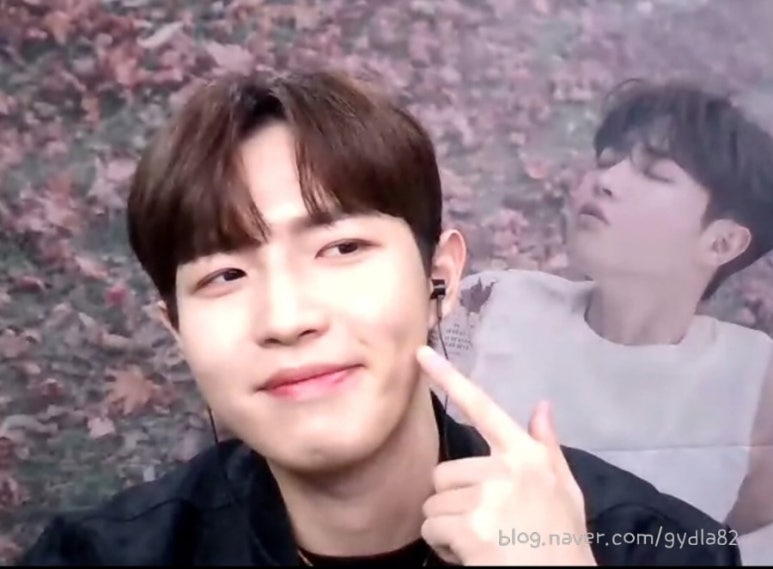 캠플랜트 이미지