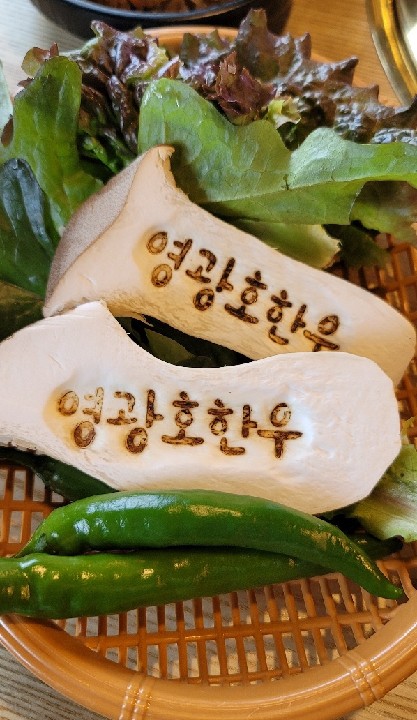 영광호한우농장 이미지