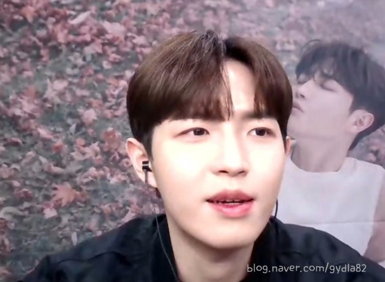 캠플랜트 이미지