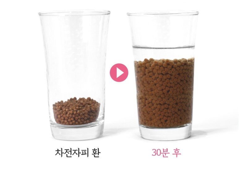 스트롱라인 이미지