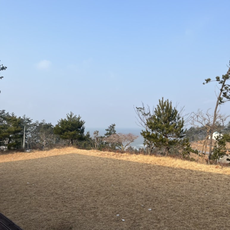 SE클럽태안둘레길캠핑장 이미지