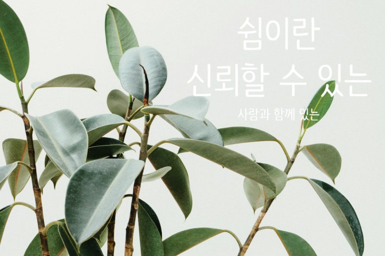 해피케어(평택·안성) 이미지