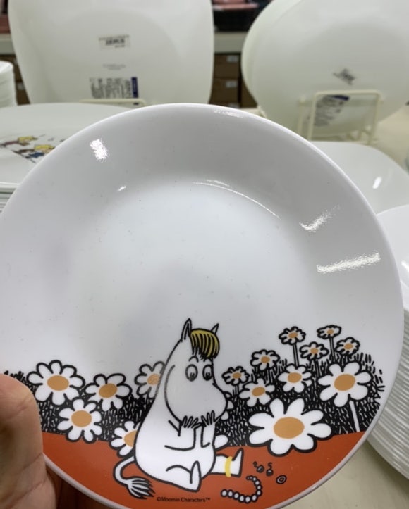 단디컴퍼니 이미지