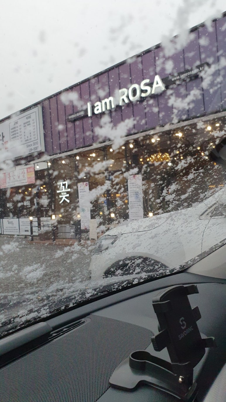 아이엠로사 이미지