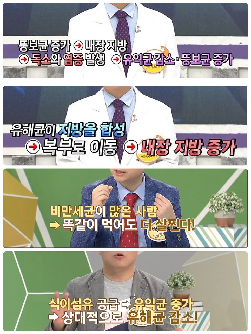 클린톡 이미지