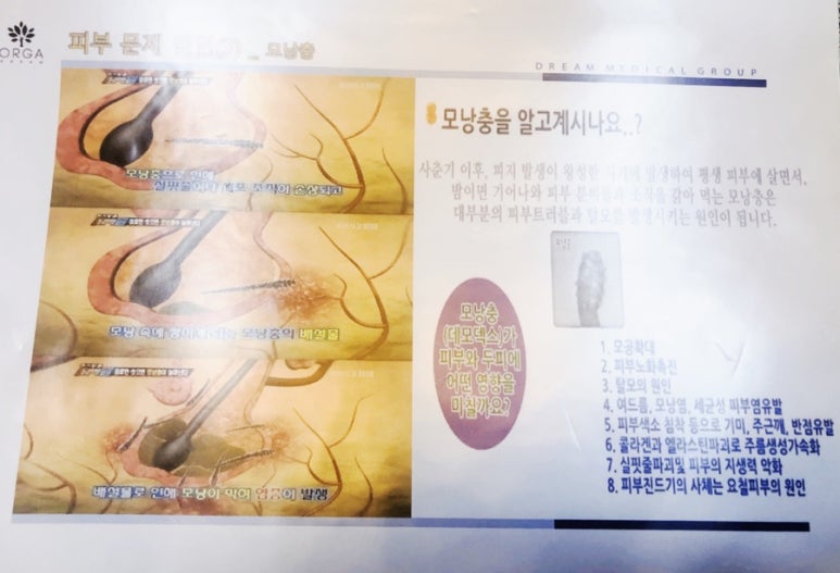 올가드림뷰티 이미지