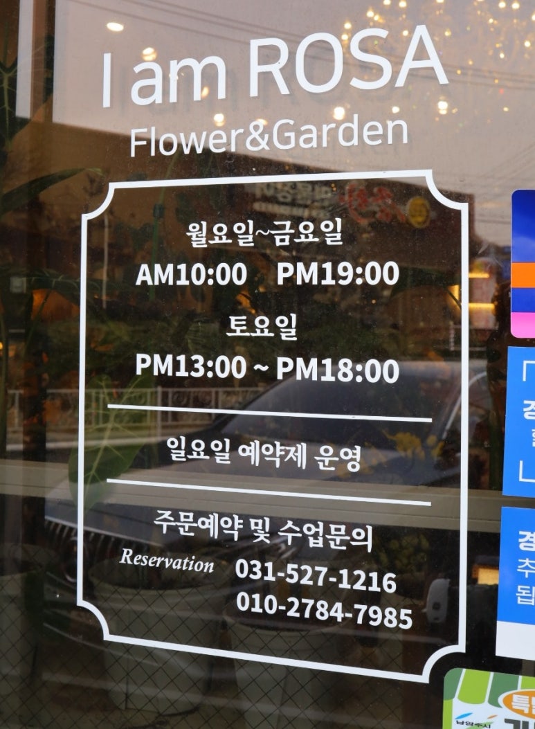 아이엠로사 이미지