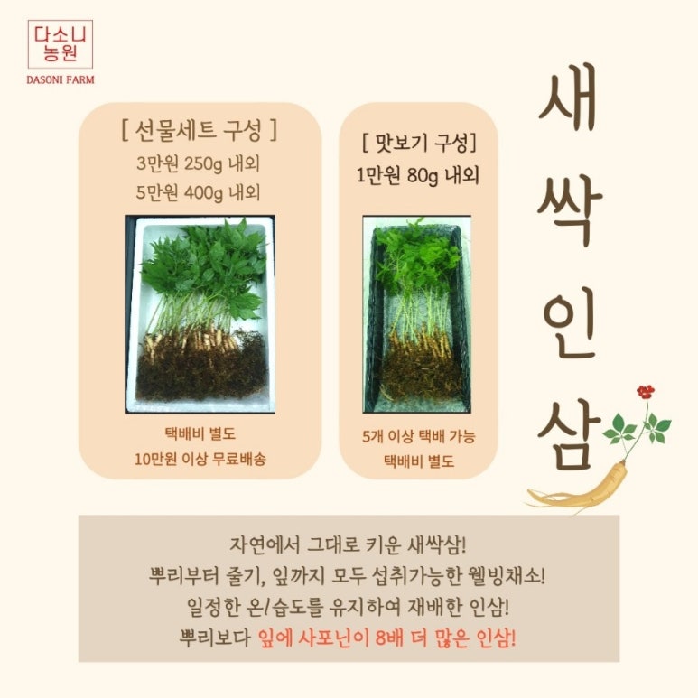 새싹농원 이미지