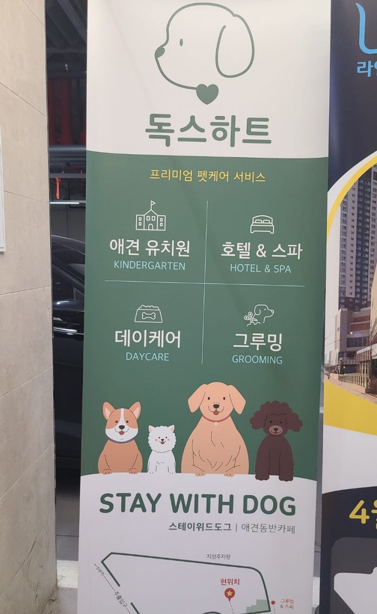 독스힐 이미지