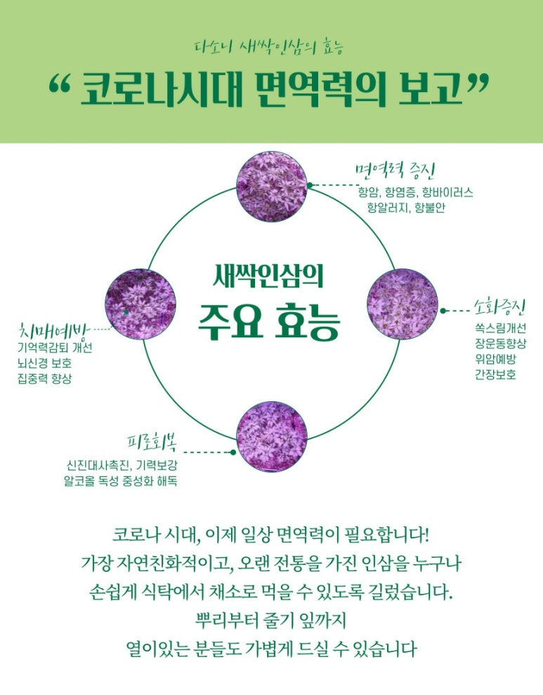 새싹농원 이미지