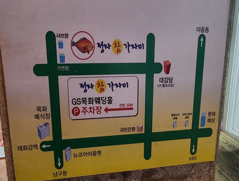 울산정자참가자미 이미지