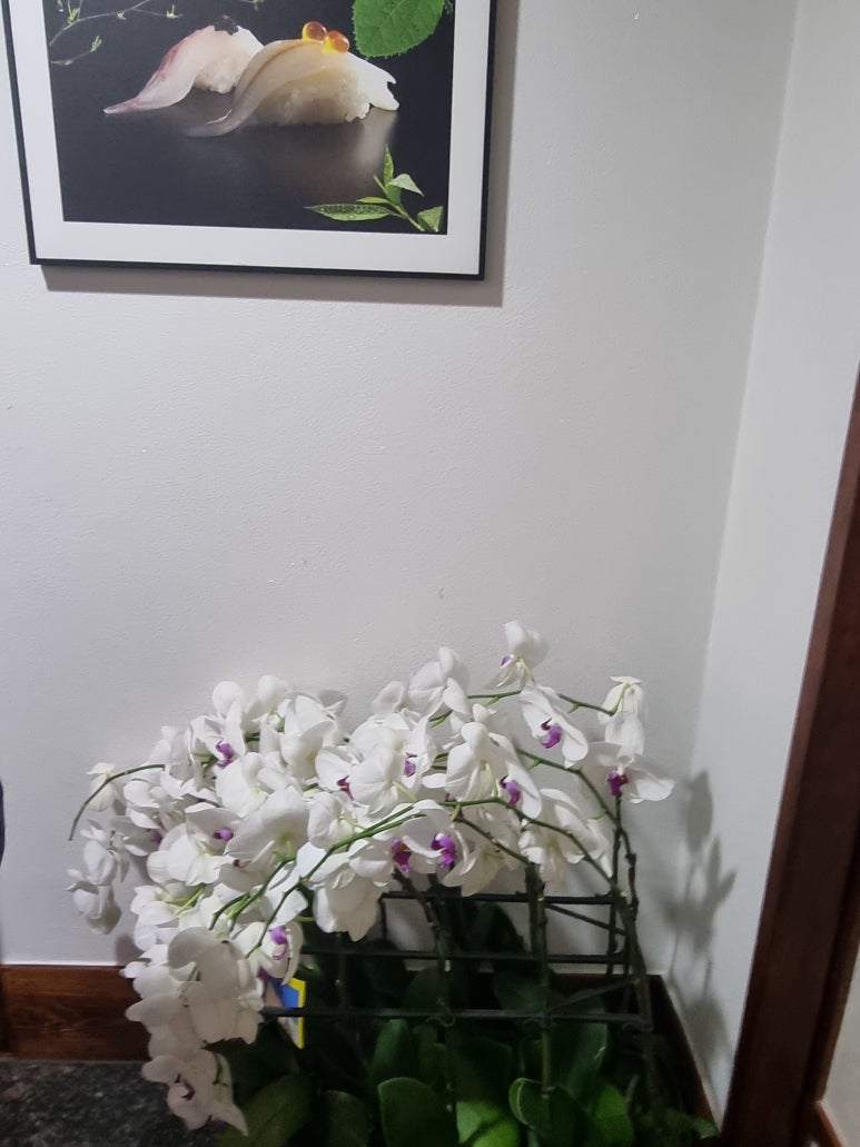 해담일식 이미지