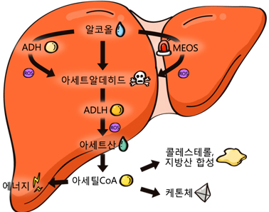 선진기전 이미지