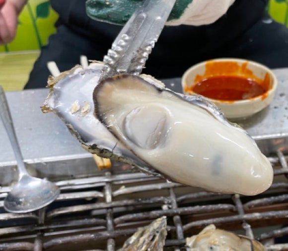 은지수산 이미지