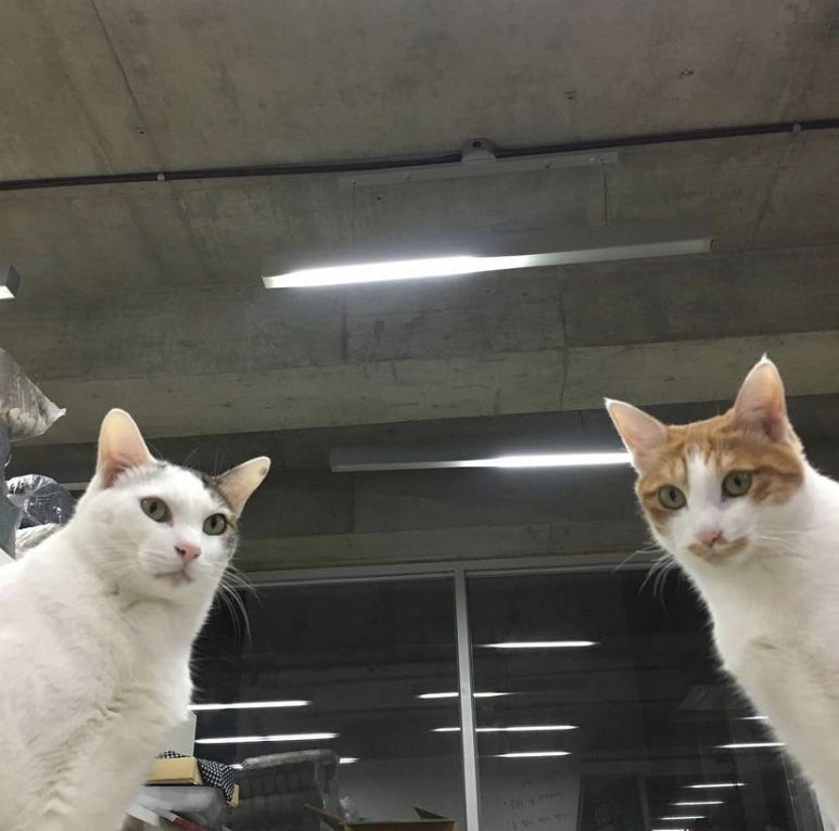 행복양말 이미지