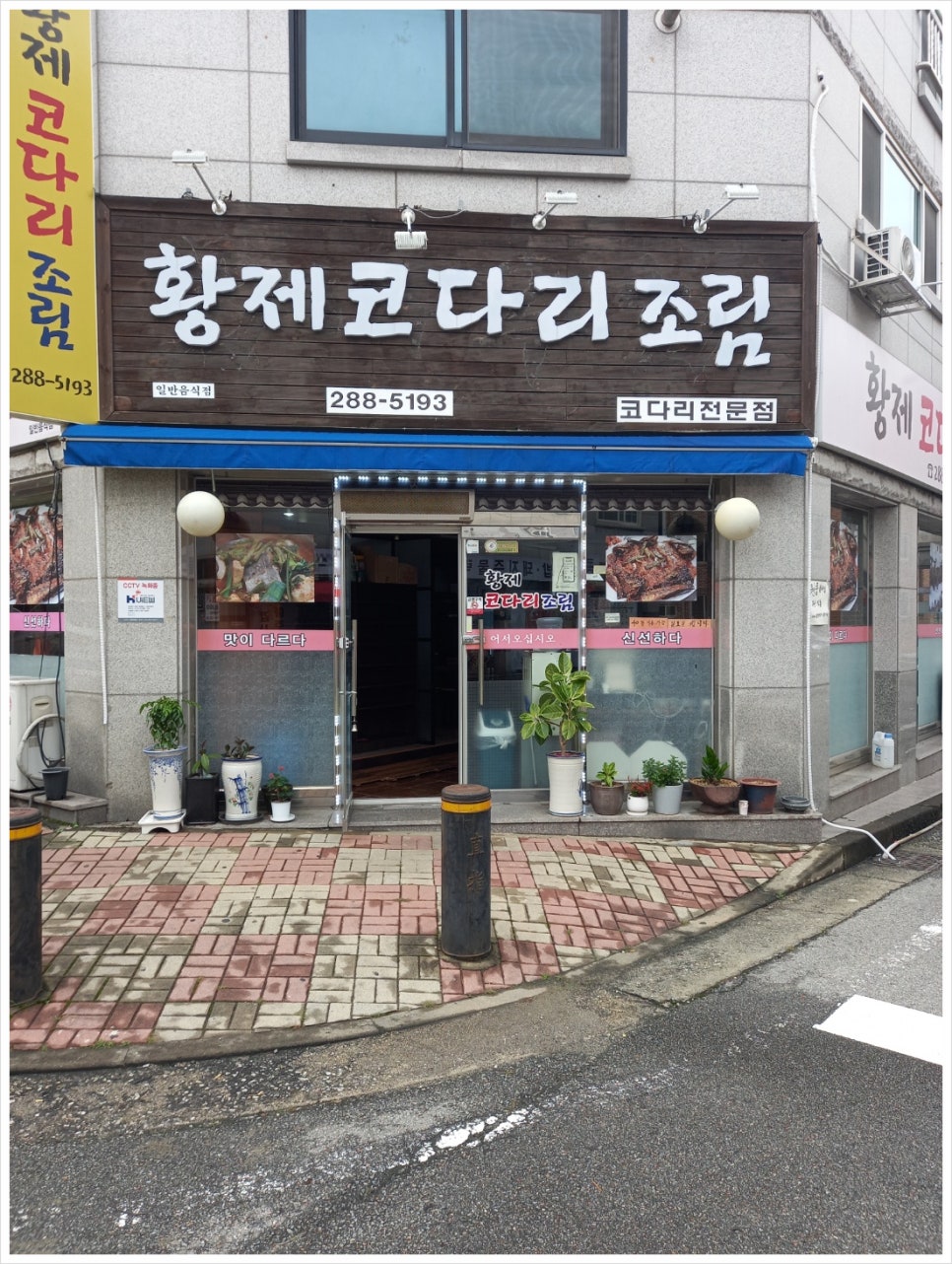 황제코다리 이미지