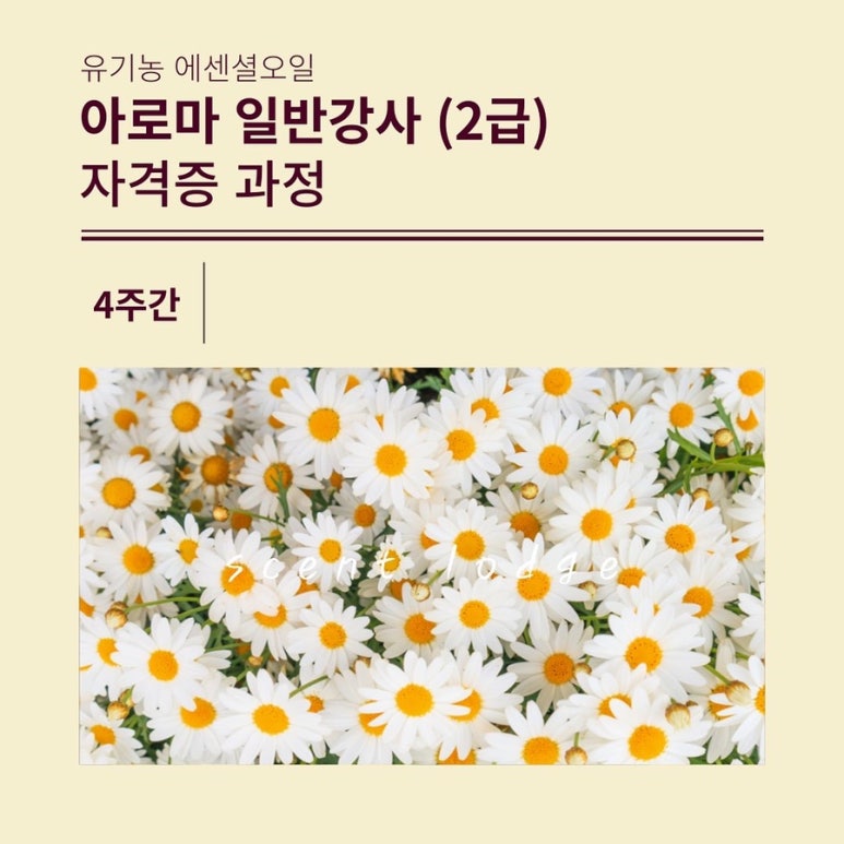 센트롯지 이미지