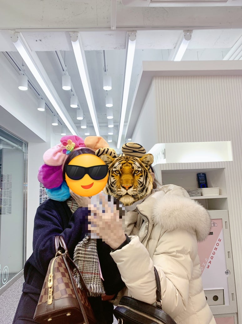 나무도마바이헤이진 이미지