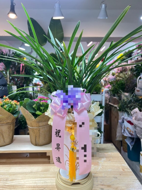 강북화원 이미지