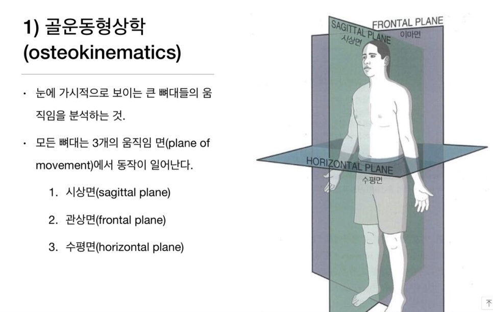 빅토리짐 이미지