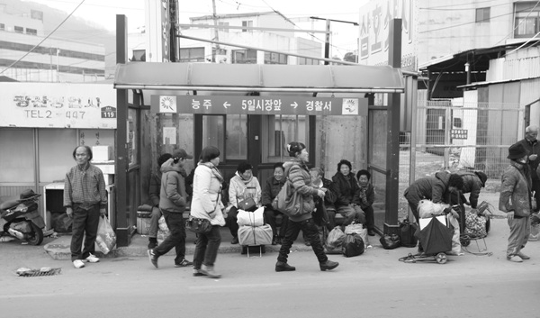 화순장 이미지