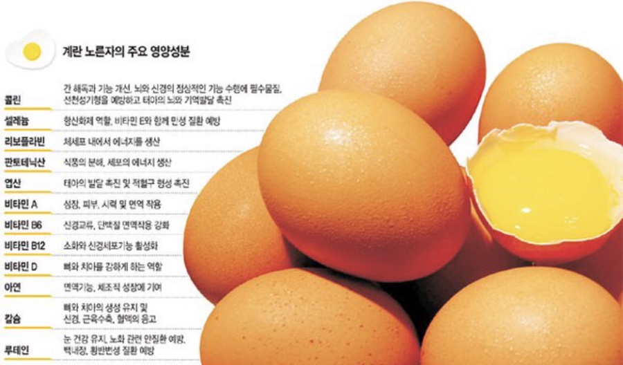 고분계란 이미지