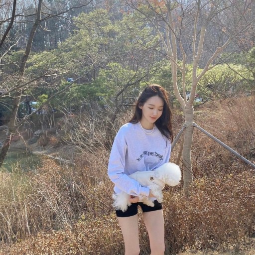 치히로 이미지