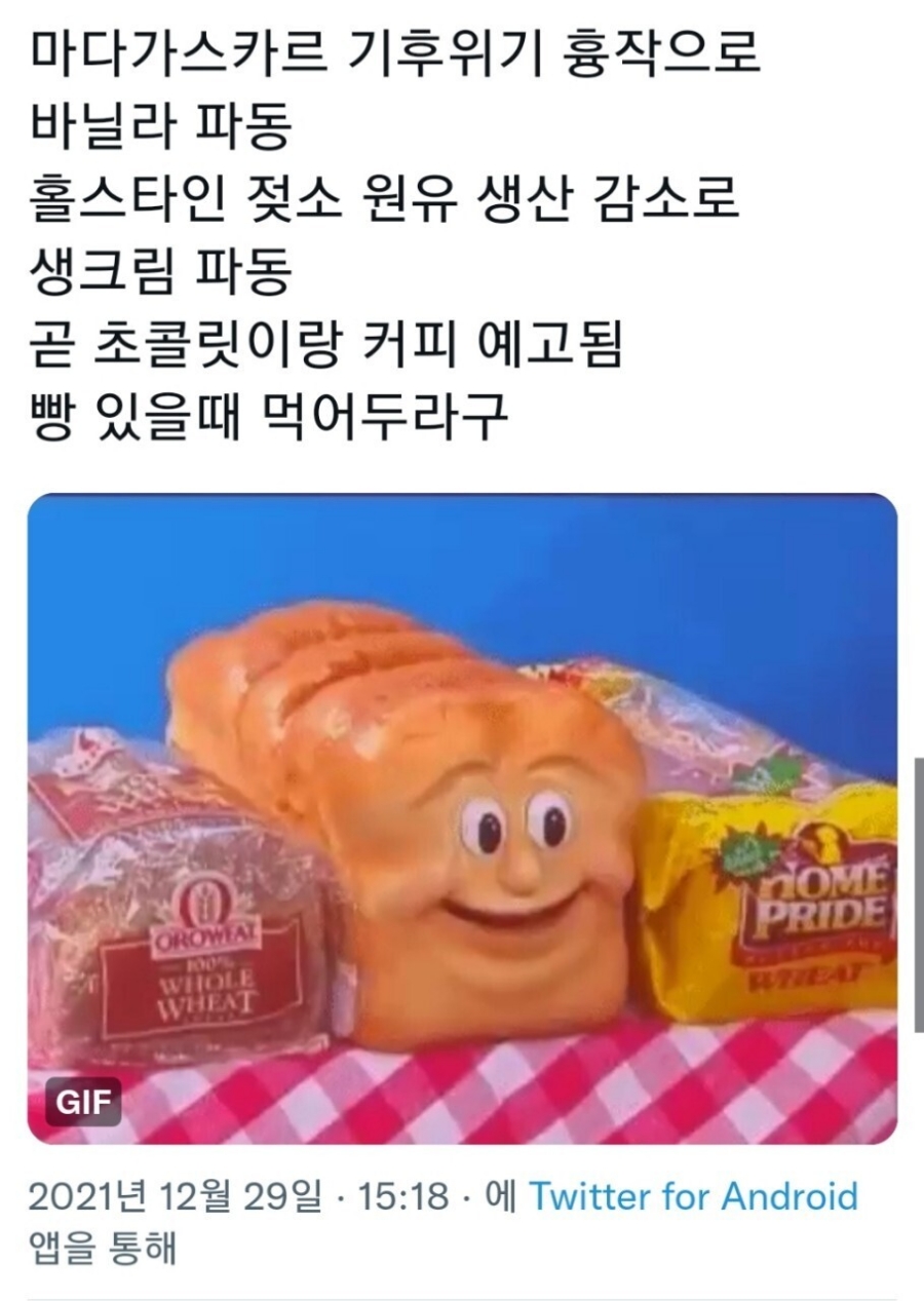 에쏠로지 이미지