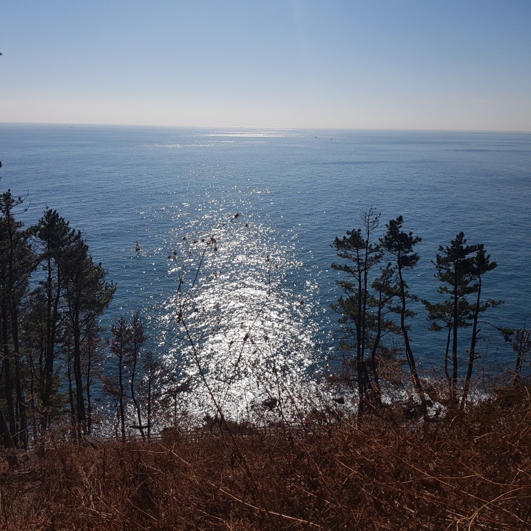 올림픽파크교차로(동) 이미지