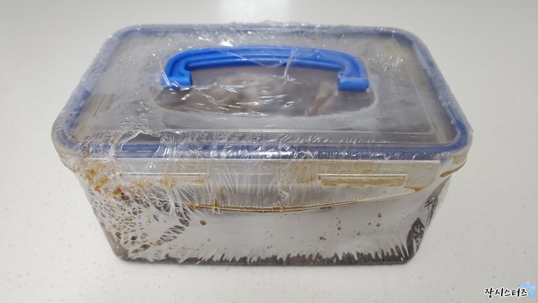 간장게장앤새우장 이미지
