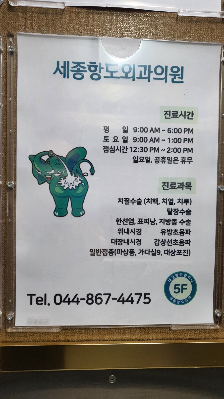 세종항도외과의원 이미지