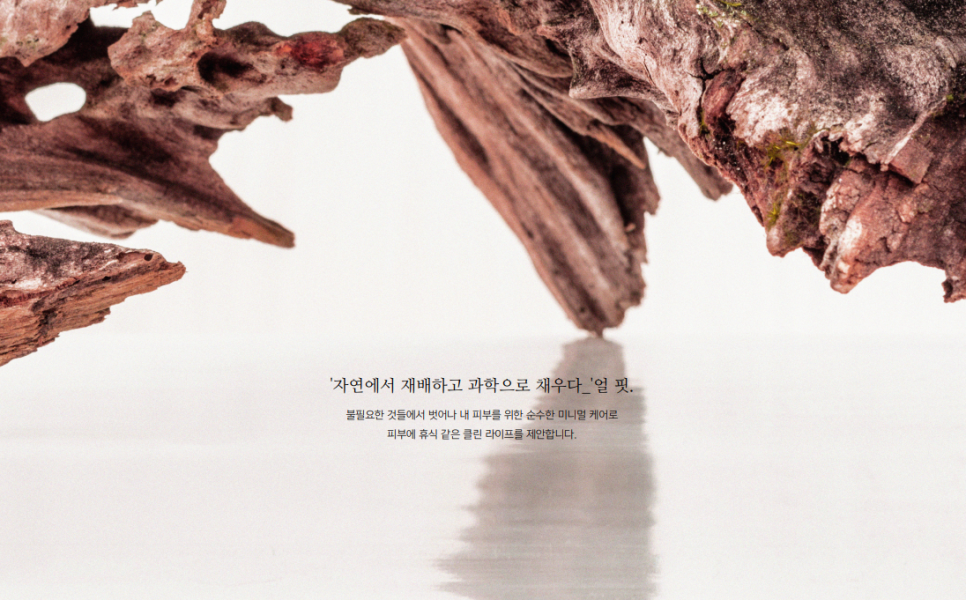 컨셉브랜드(CONCEPT BRAND) 이미지