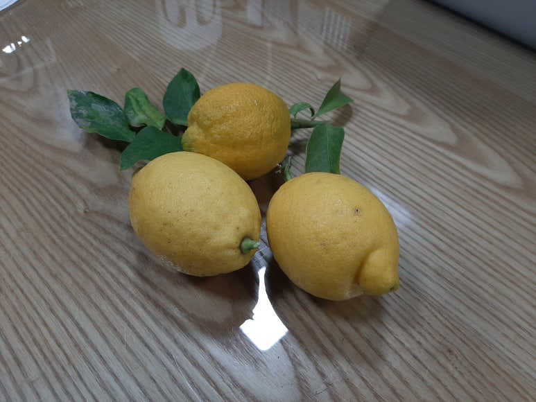 로더랩 이미지
