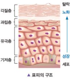 케이엠구조 이미지