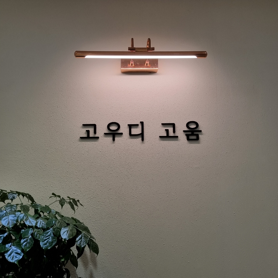 고우디고움 이미지