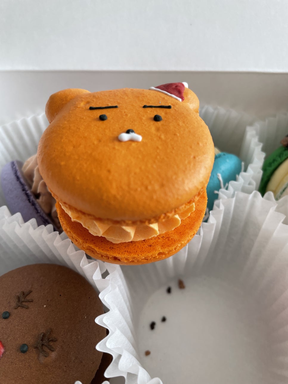 꼬끄까까 이미지