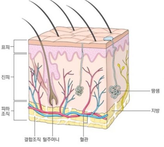 케이엠구조 이미지