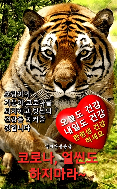 신풍각 이미지