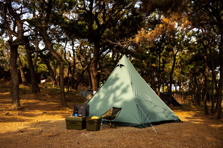 디자인서커스 이미지