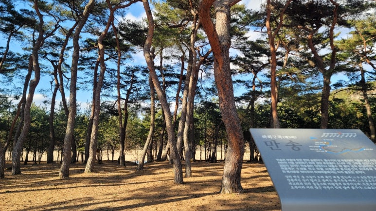 옥연S라인 이미지