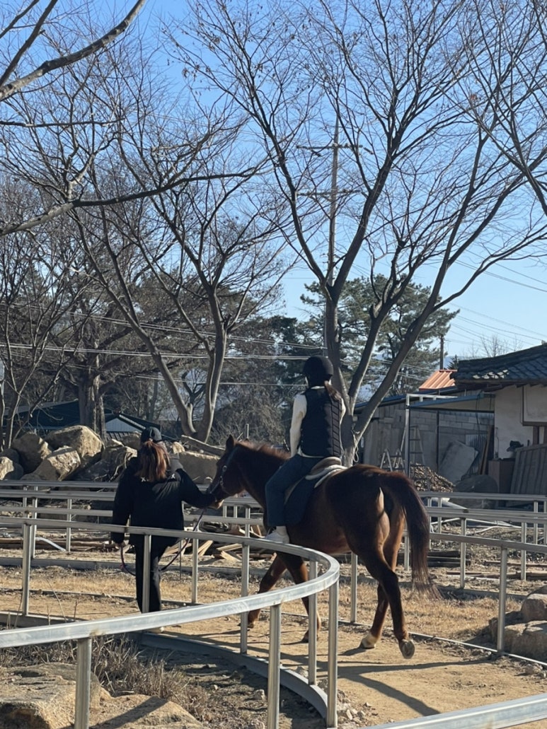 돼돈 이미지