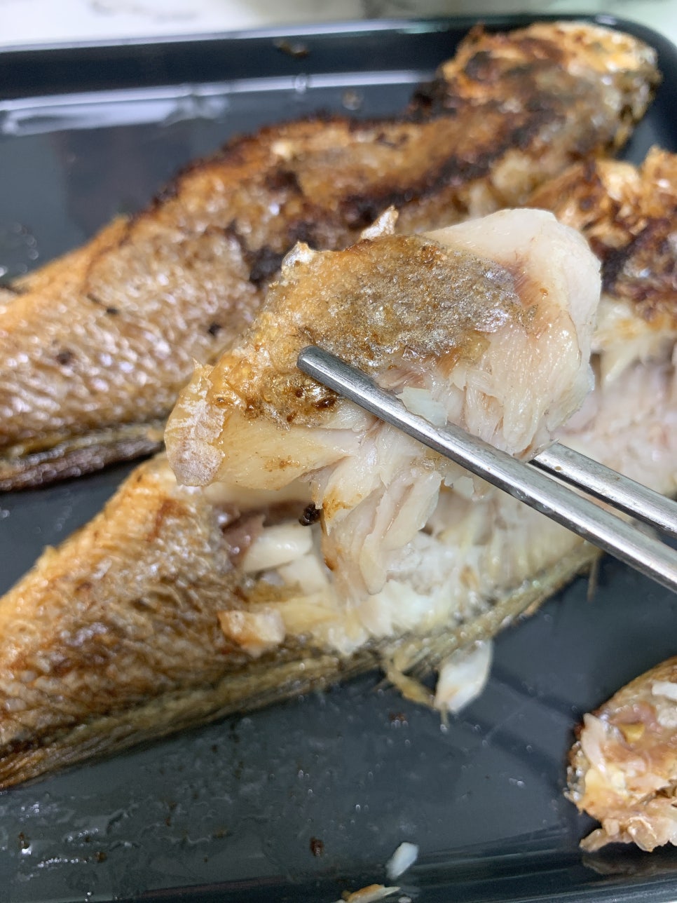참좋은수산 이미지