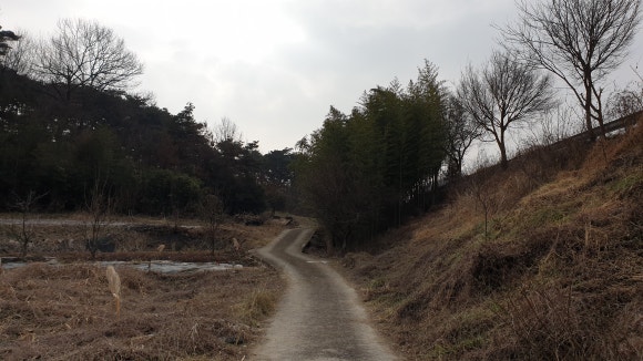 장성 동화IC교차로 이미지