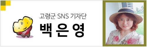 윤이네칼국수 이미지