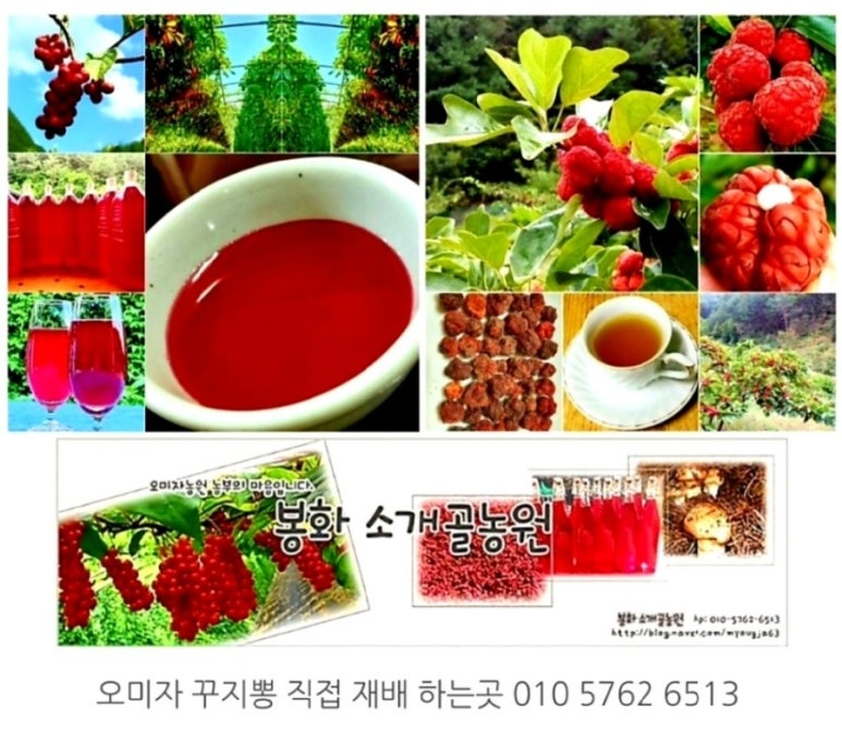 선매운탕 이미지